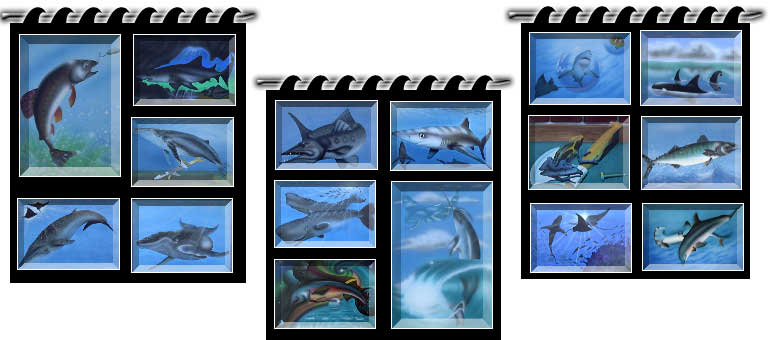Carcharodon